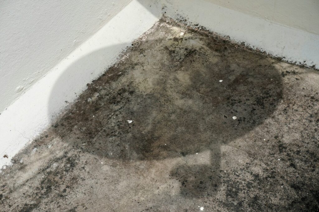 Mold growth in a wall corner