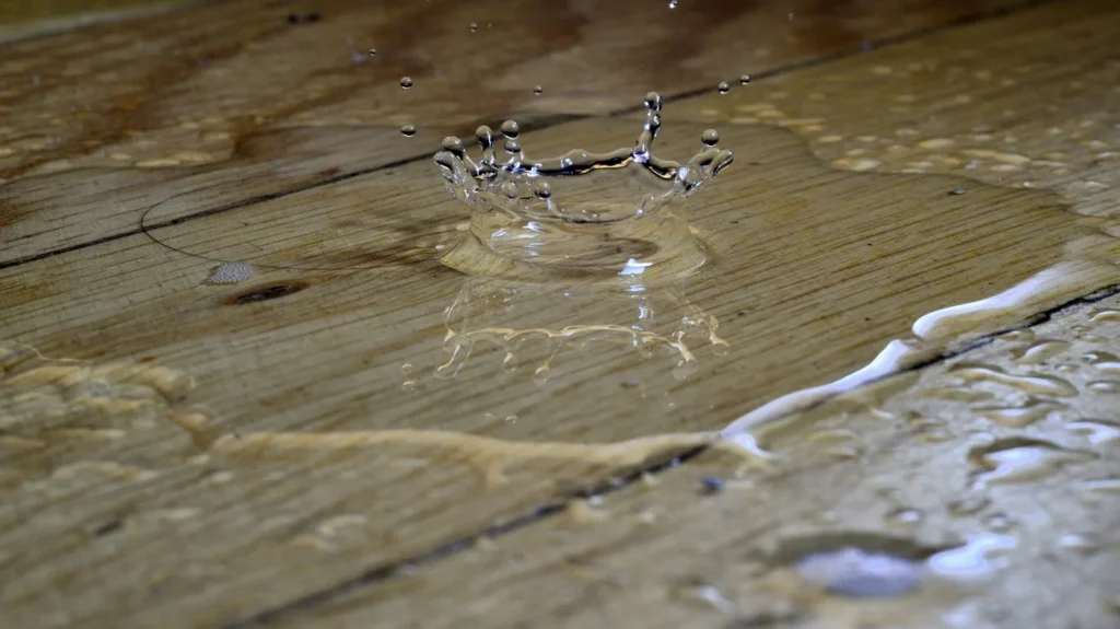 Water pooling on a hardwood floor