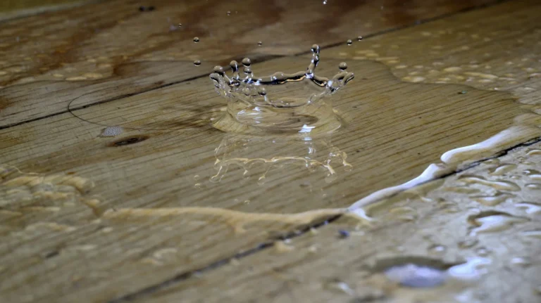 Water pooling on a hardwood floor